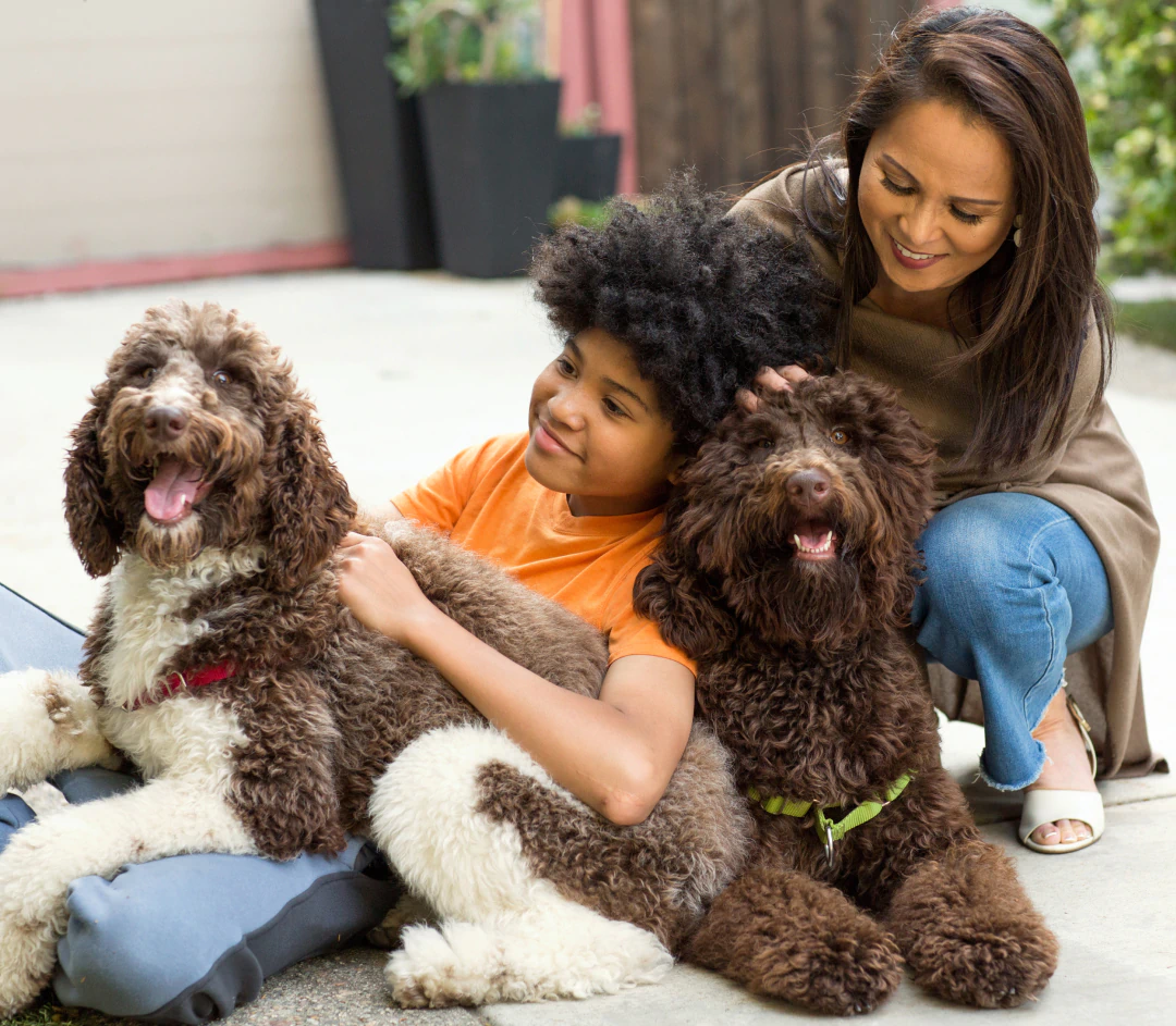 Desktop_About_Us_The_Collins_Hospital A woman and a child sit outside, smiling and petting two fluffy brown and white dogs. The child wears an orange shirt, and everyone looks happy and relaxed.