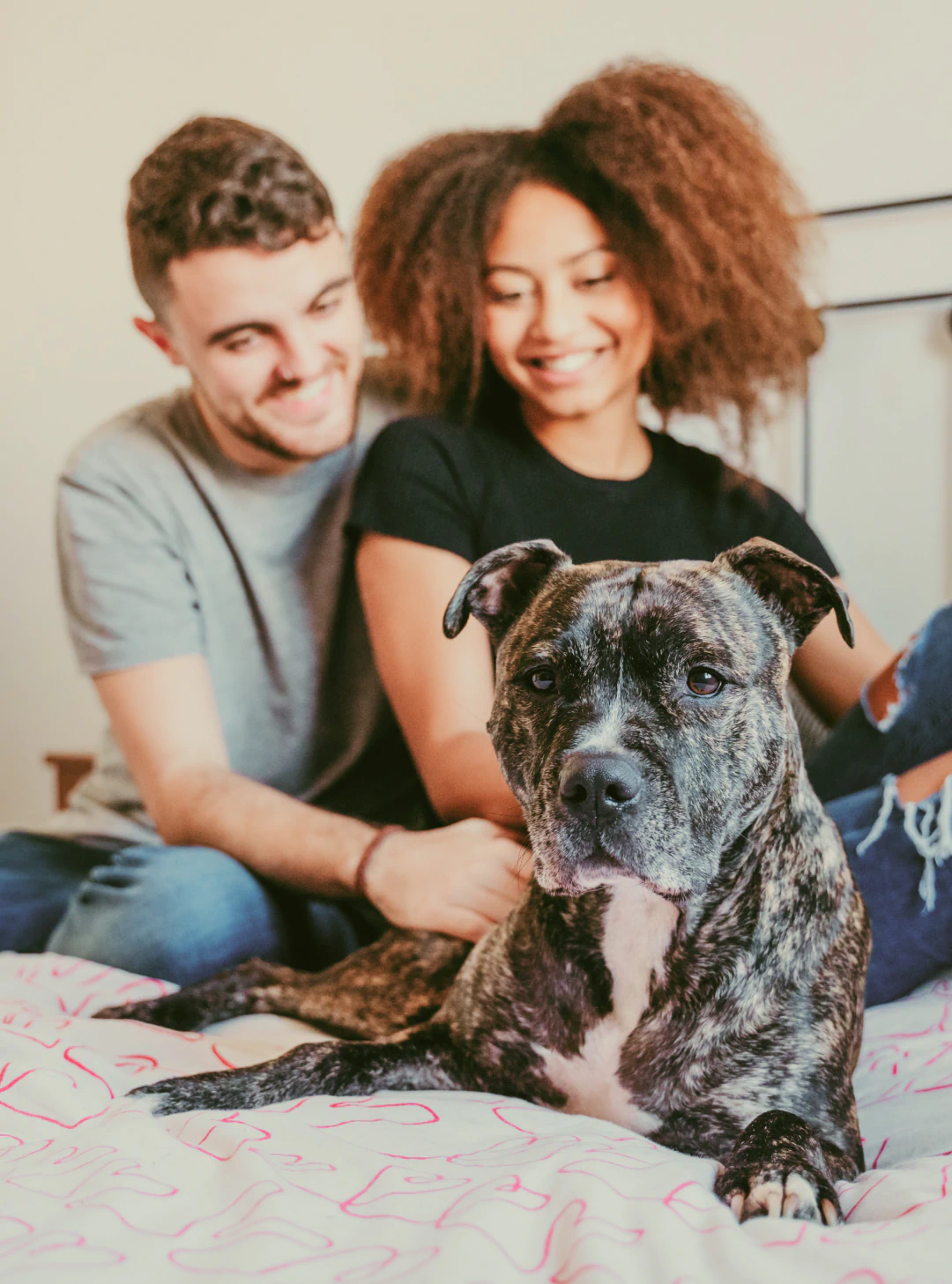 Desktop_Home_A_Bond A brindle dog lies on a bed in the foreground, while a smiling couple sits together in the background, softly out of focus.